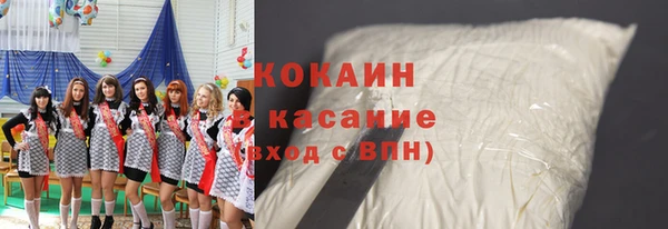ECSTASY Горняк