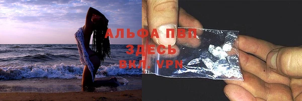ECSTASY Горняк