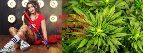 ECSTASY Горняк