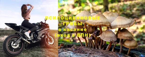 таблы Горнозаводск