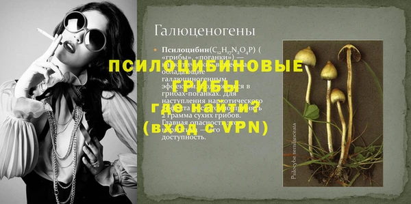 ECSTASY Горняк