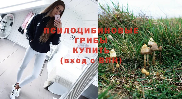 таблы Горнозаводск