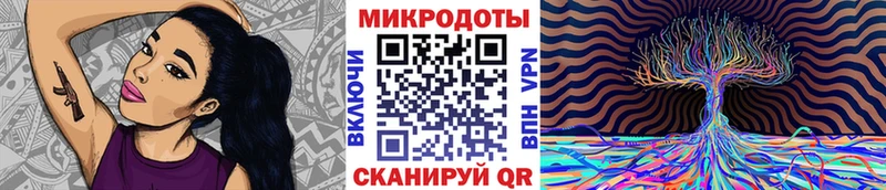 Псилоцибиновые грибы Psilocybe  хочу   Дегтярск 